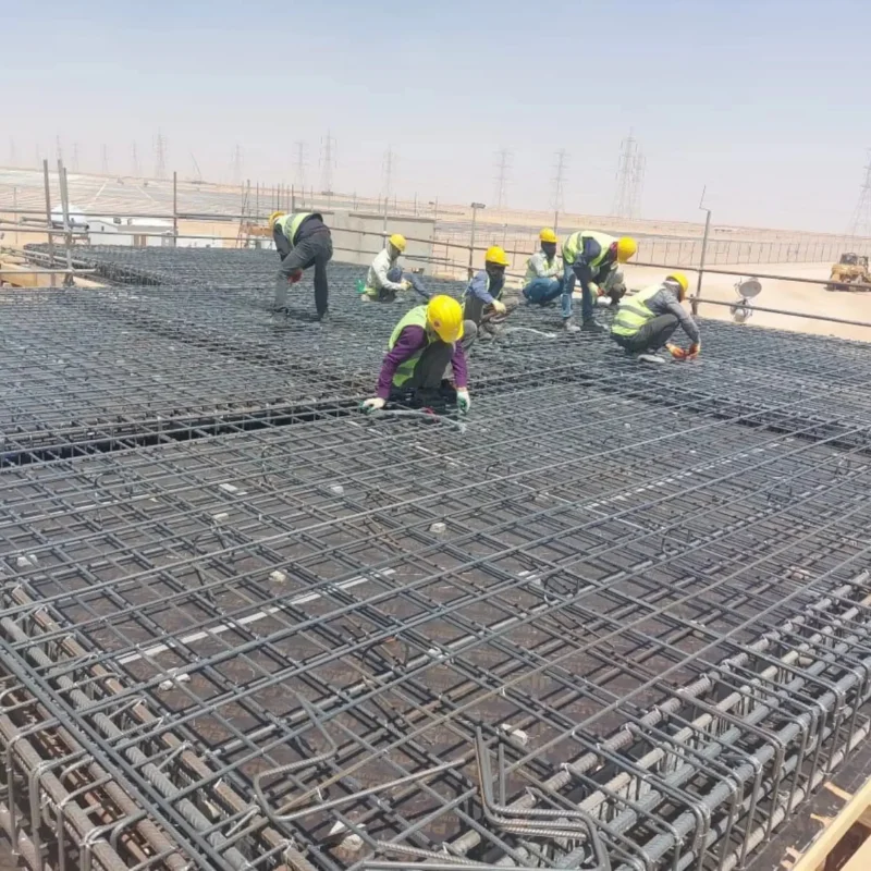 Construction Service - Red Sea Arabia